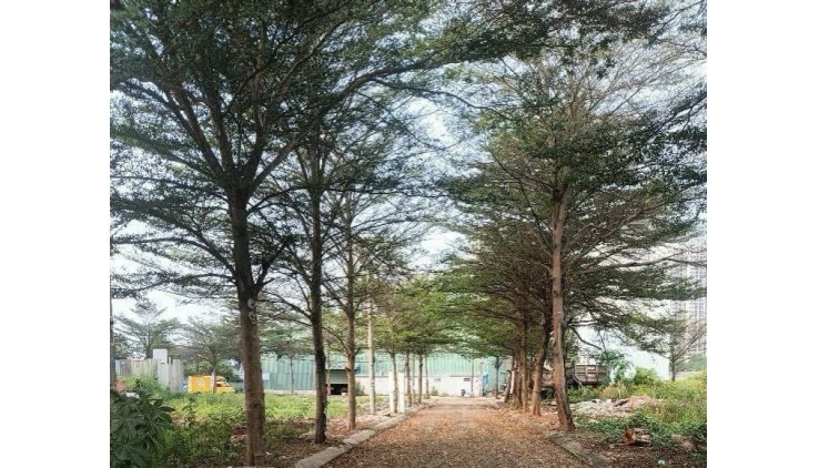 Sổ Hồng Riêng- Nhà 2 Tầng- 2,6  Tỷ Tặng Nội Thất- Sát Bên Vinhomes Grand Park Quận 9 -Không Quy Hoạch